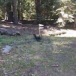 Image of Review by Benjamin S. on 13 Aug 2020 number 3