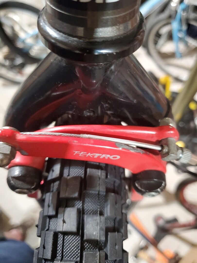 Holy Roller - MAXXIS Canada