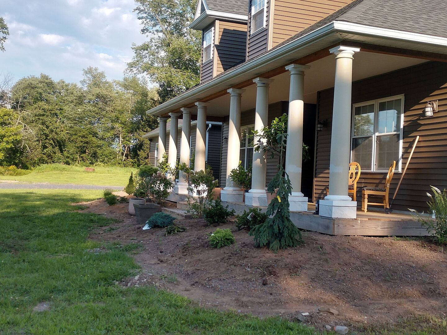 The Olive tree arrived in