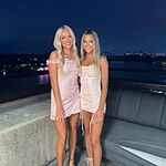 ivy hollow mini dress