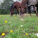Image of Review by Ineke S. on 16 Oct 2020 number 3