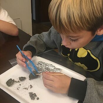 owl pellet guide: elementary owl pellet guide