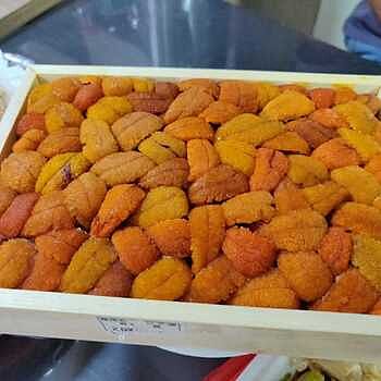 *31st May* Hokkaido Nemuro B Grade Bafun Uni/ 北海道特選 馬糞海膽 (250g) 冰鮮美國頂級肉眼扒好好味,可惜沒有拍照！北海道雲丹海膽未試過那麼好吃！👍👍👍😊😊