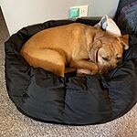 deep den dog bed