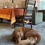 Image of Review by Lucille M. on  3 Dec 2020 number 1