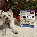 honest kitchen marvel