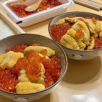 Pre-order 24-26 May Japan Grade A Premium Uni / 日本A級直排海膽 (250g) - 888 霧多布 Good quality