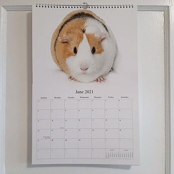 Photo of review by Franck on Jan 12, 2021 #2