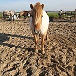 Image of Review by Maureen S. on 17 Jan 2021 number 1