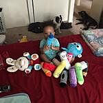 color crew talking plush crayons