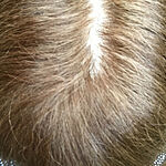 Image of Review by Lisa F. on  7 Feb 2021 number 1