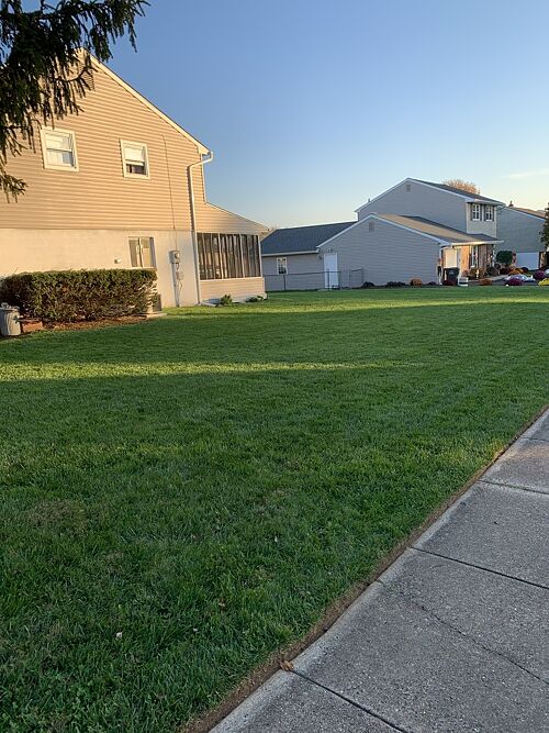 A lawn in Reading, PA