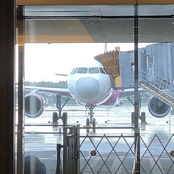 ピーチ航空 Peach の予約 国内格安航空券さくらトラベル ピーチ航空 Peach の予約 国内格安航空券さくらトラベル