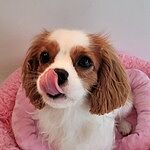 Image of Review by Carolyn M. on 21 May 2021 number 1