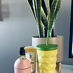 Image of Review by Marta M. on 24 May 2021 number 1