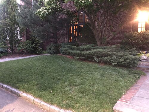 A lawn in Providence, RI