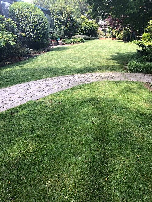 A lawn in Norfolk, VA