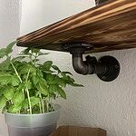 Image of Review by Tina B. on 17 Jun 2020 number 1