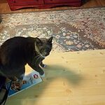 Image of Review by Rebecca A. on 18 Jun 2021 number 3
