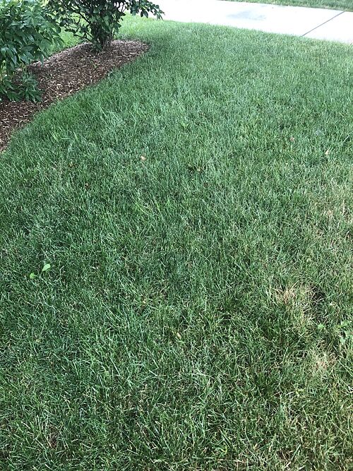 A lawn in Geneva, IL