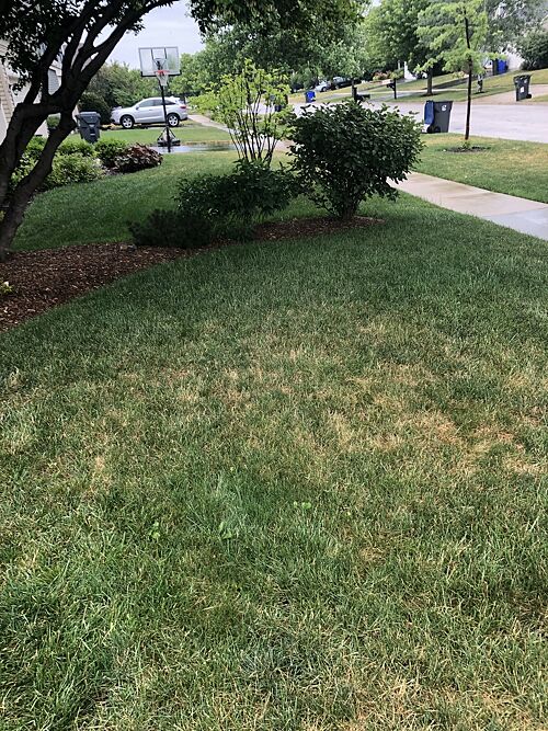 A lawn in Geneva, IL