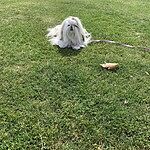 Image of Review by Patricia B. on 29 Jun 2021 number 1