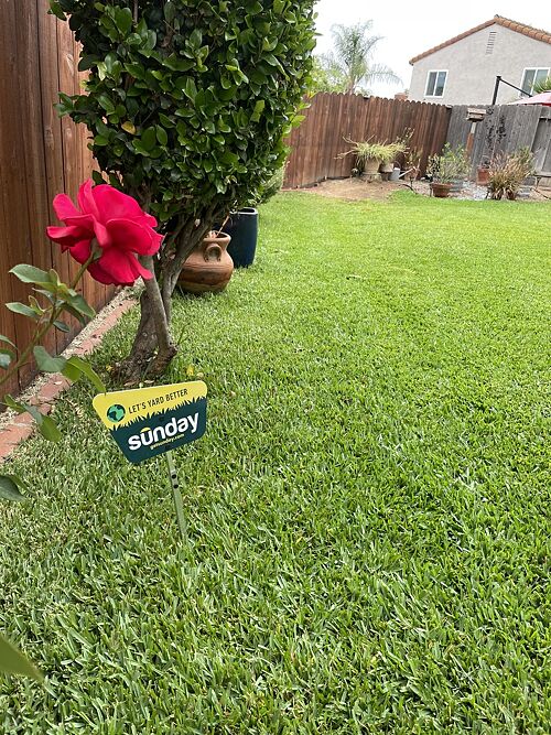 A lawn in San Diego, CA