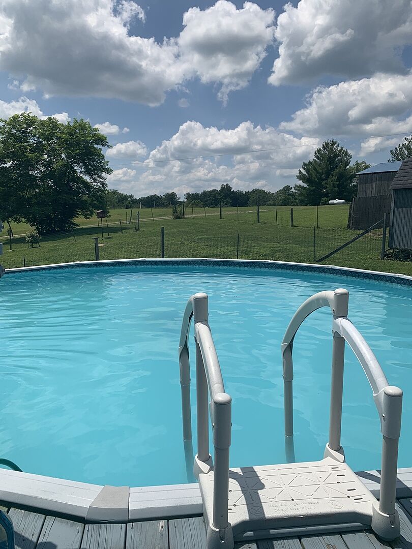 Super Clarifier 1 qt In The Swim