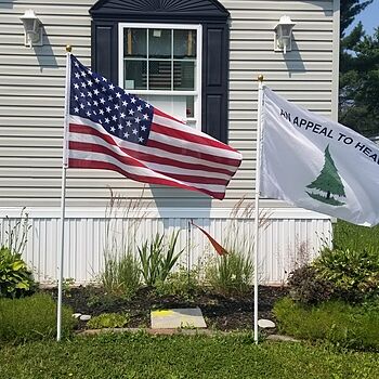 3x5 Betsy Ross Nyberg Gadsden Snake Don't Tread On Me Flag 3'x5' Banner Grommets 3x5 Betsy Ross Nyberg Gadsden Snake Don't Tread On Me Flag 3'x5' Banner Grommets