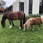 Image of Review by Desiree g. on 11 Jul 2021 number 1