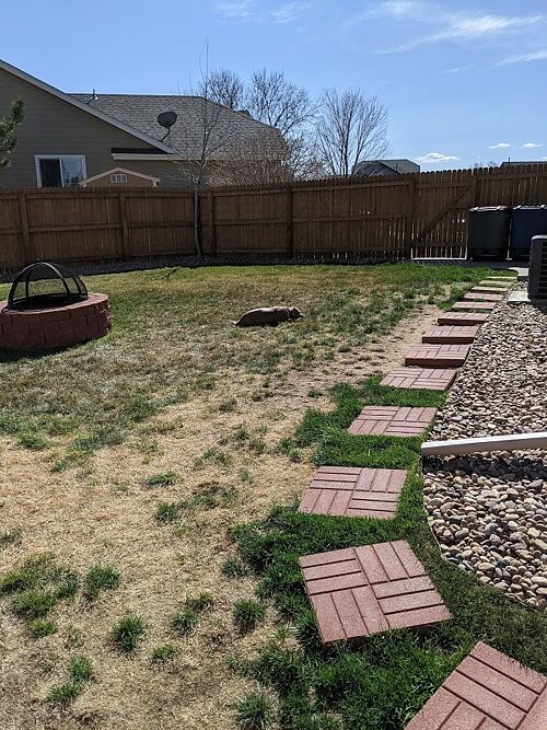 A lawn in Brighton, CO