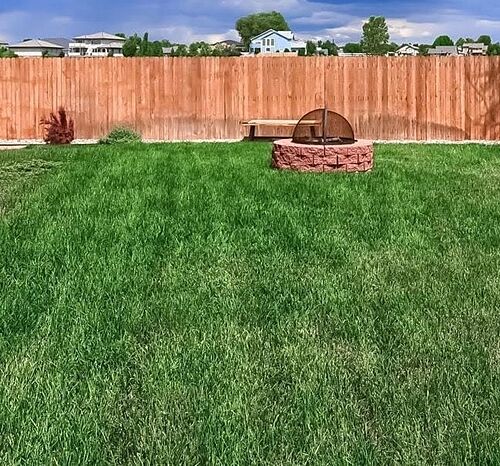 A lawn in Brighton, CO