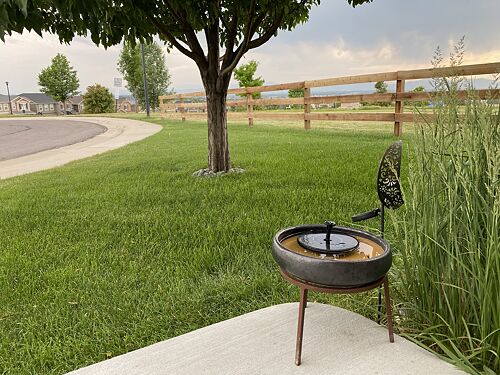 A lawn in Thornton, CO