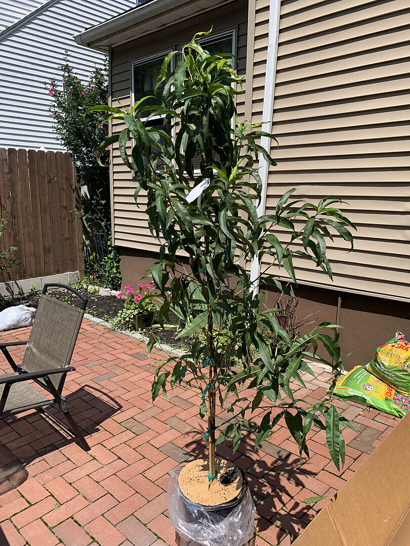 I'm absolutely a happy customer.