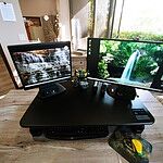 Image of Review by Gwen C. on  3 Sep 2021 number 1