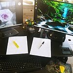 Image of Review by Gwen C. on  3 Sep 2021 number 8