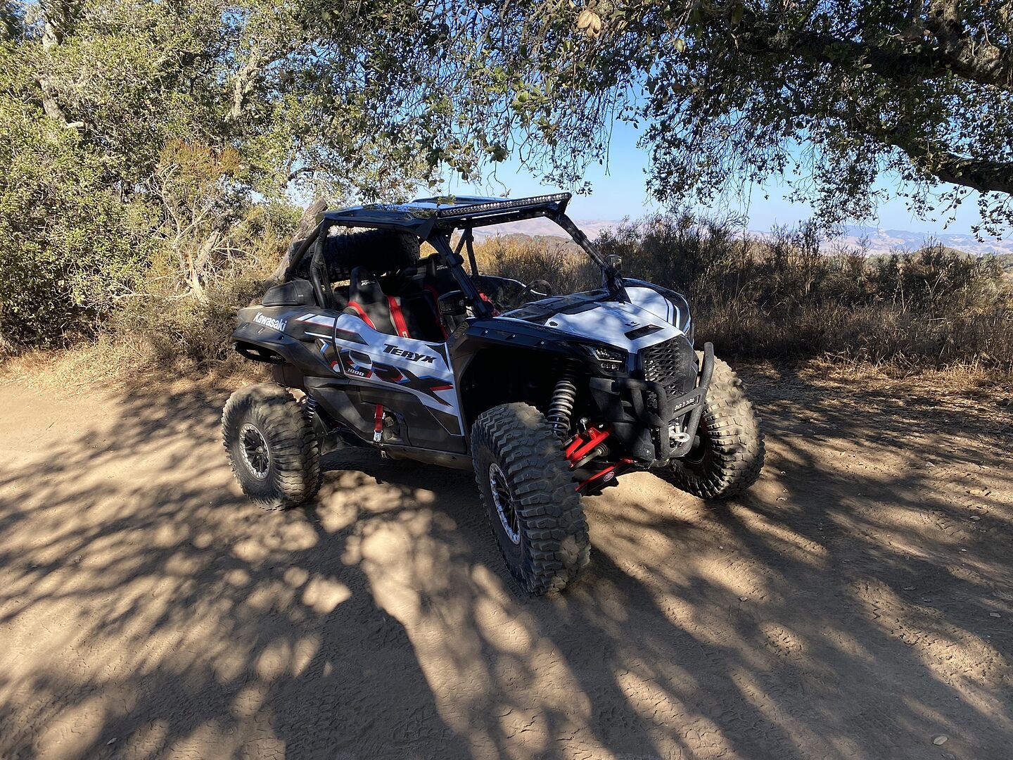 Roxxzilla - MAXXIS US