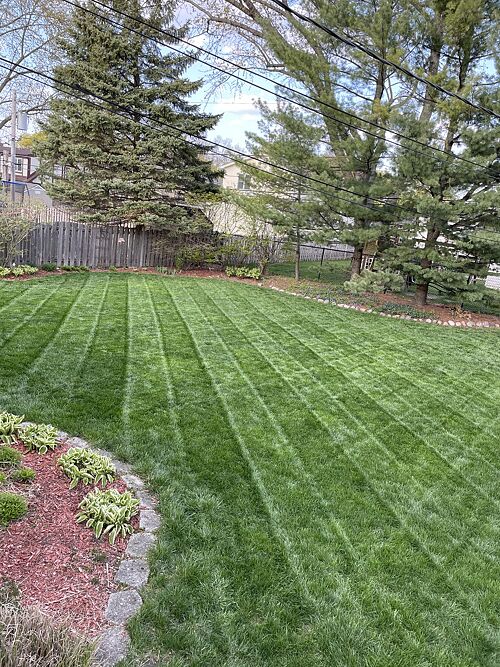 A lawn in Chicago, IL