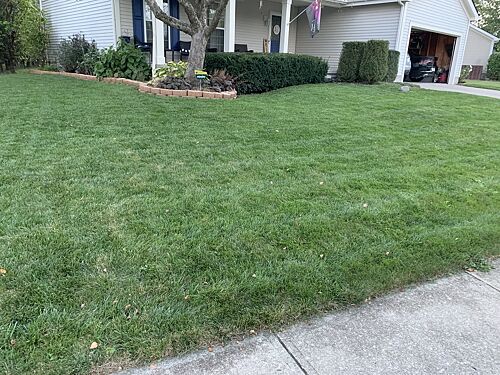 A lawn in Columbus, OH