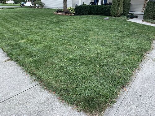 A lawn in Columbus, OH