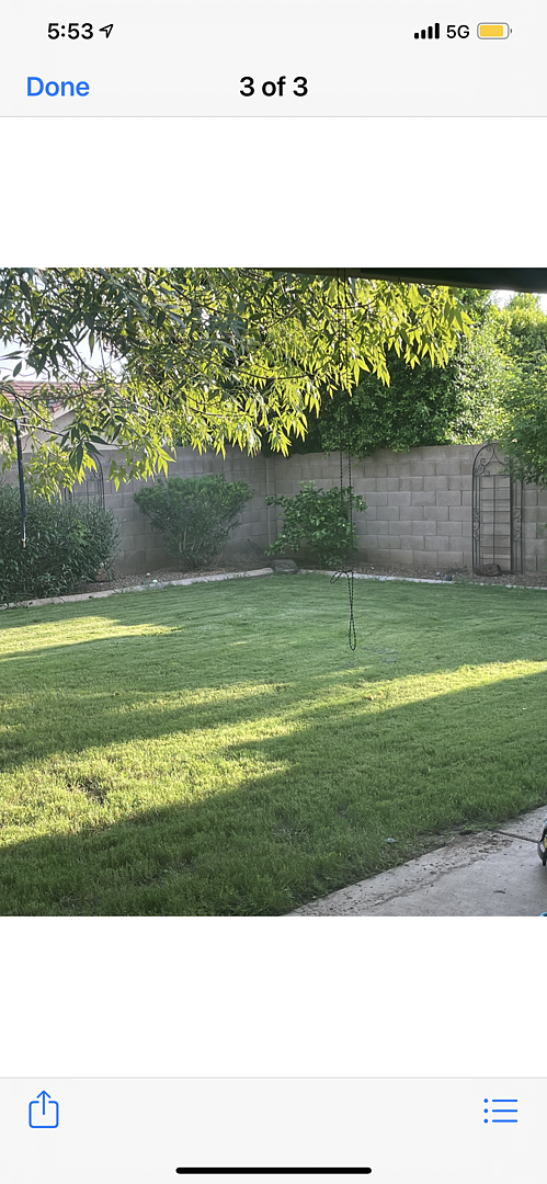 A lawn in Phoenix, AZ
