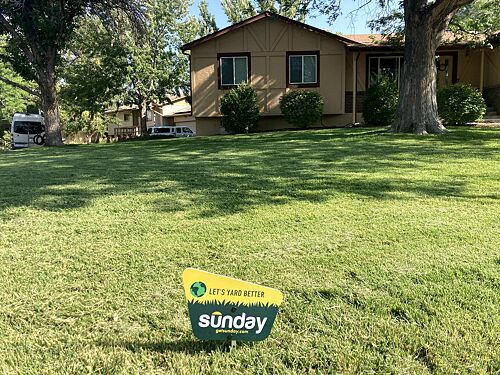 A lawn in Grand Junction, CO