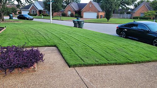 A lawn in Cordova, TN