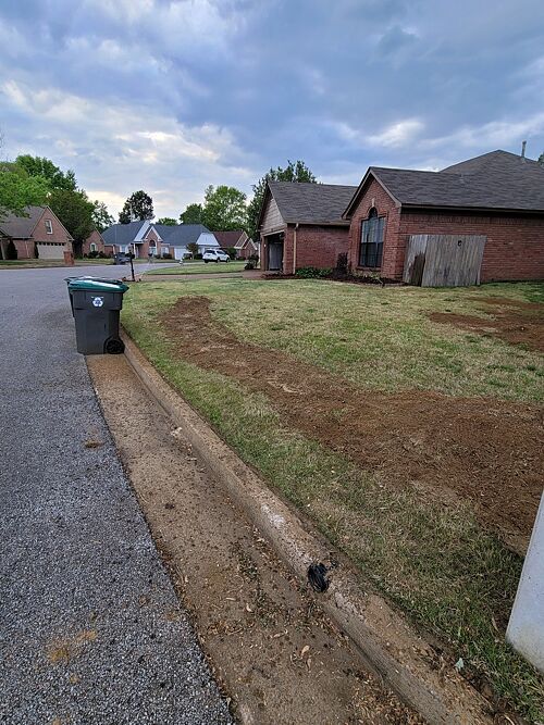 A lawn in Cordova, TN