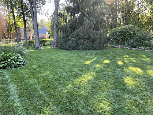 A lawn in Doylestown, PA