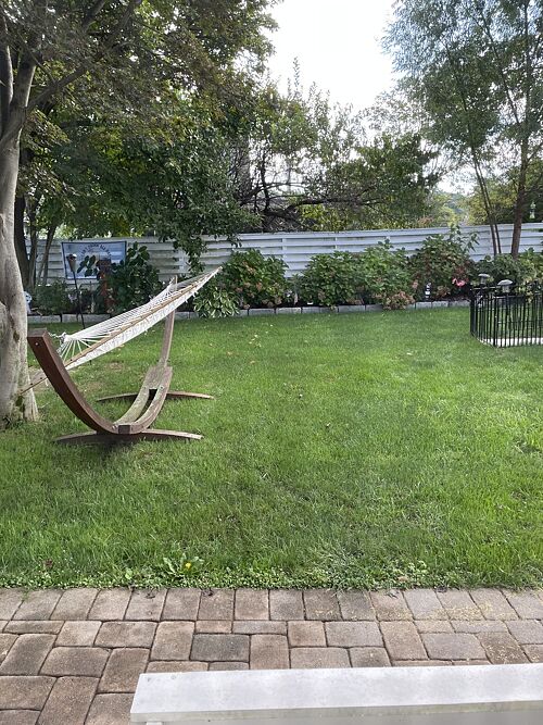 A lawn in New York