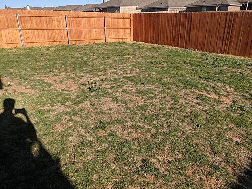 A lawn in Lubbock, TX