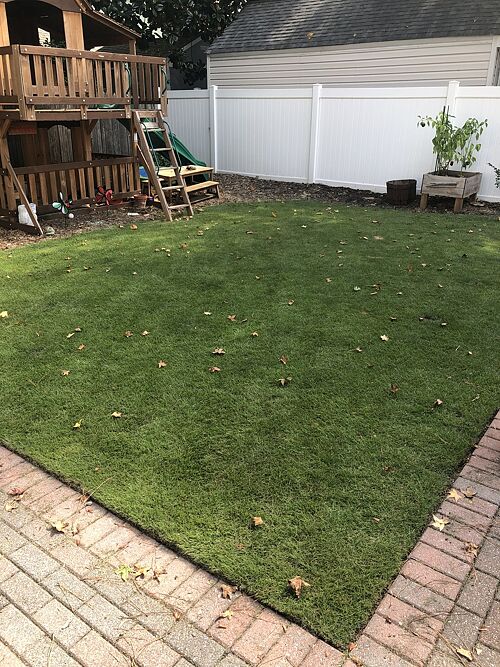 A lawn in Norfolk, VA