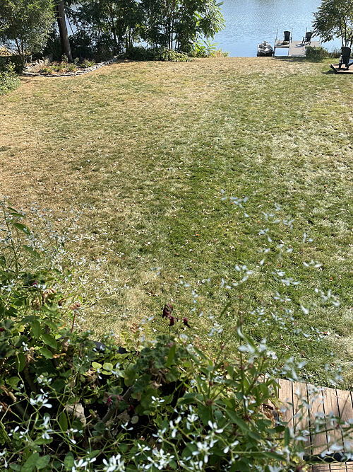 A lawn in Geneva, IL