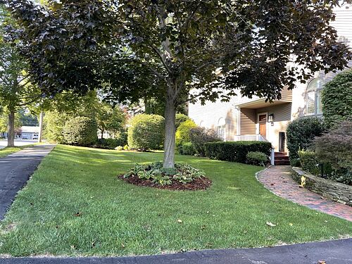 A lawn in Massachusetts